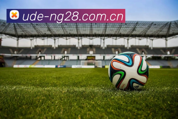 ng28平台生态图